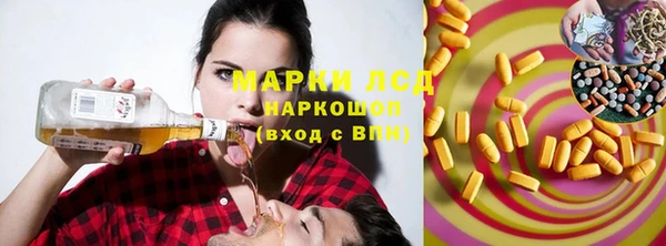 хмурый Аркадак
