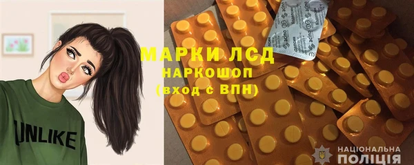 хмурый Аркадак