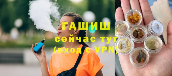 хмурый Аркадак