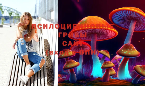 шишки Арсеньев