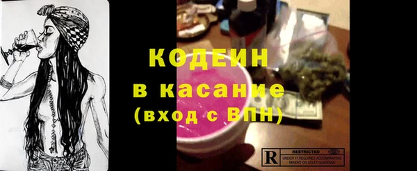 хмурый Аркадак