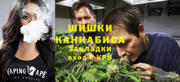 хмурый Аркадак