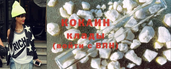 шишки Арсеньев