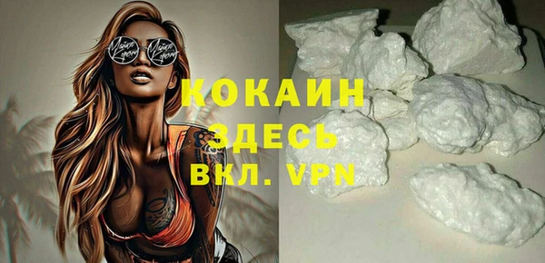шишки Арсеньев