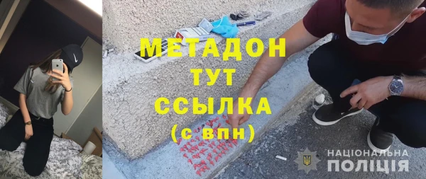 хмурый Аркадак