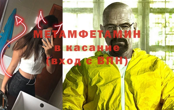 хмурый Аркадак