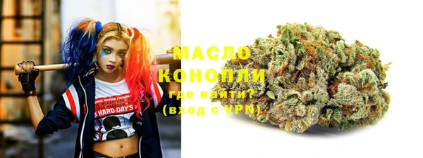 хмурый Аркадак