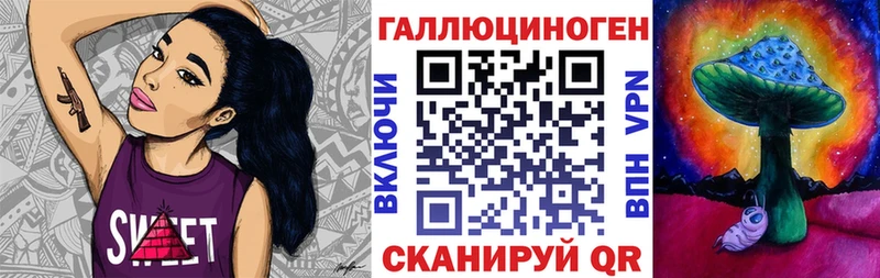Псилоцибиновые грибы Psilocybe  Горно-Алтайск 